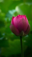 _IGP2389