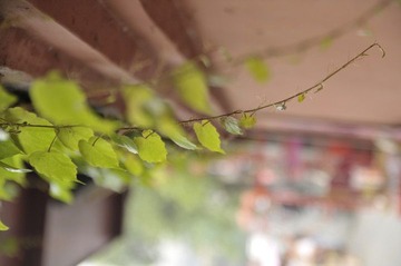 _DSC3691