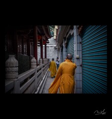 _DSC2207-编辑-水印.jpg