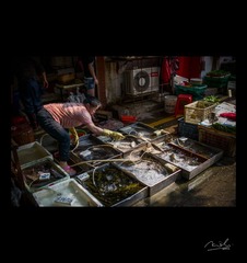 _DSC2339-编辑.jpg