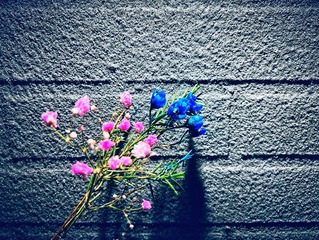 A5E89067-2F32-4C4F-8917-F2BFD0C8B998/L0/001