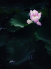 001