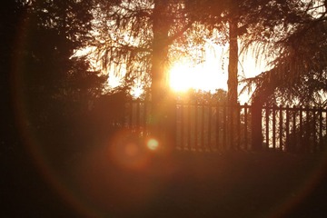 La couche du soleil au Parc Montsouris