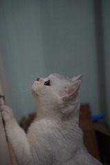 150304