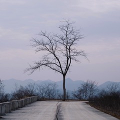 075B4A08-C4F9-45CB-8850-6DD48C6FBC5E/L0/001