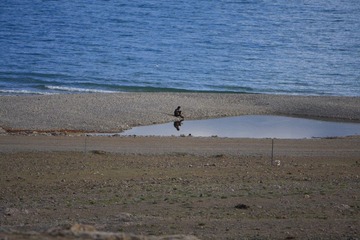 IMG_3752-1