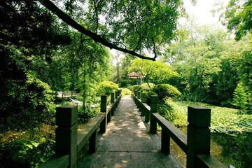 广州兰圃