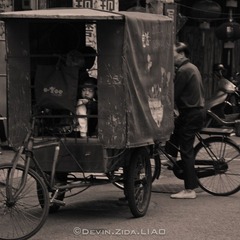 DSC_4477
