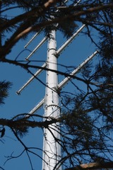 Optional("AAE6D97B-967E-4870-8768-D3C9741027C9/L0/001")