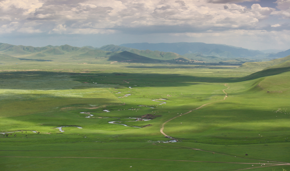 草原上蜿蜒流过的河流