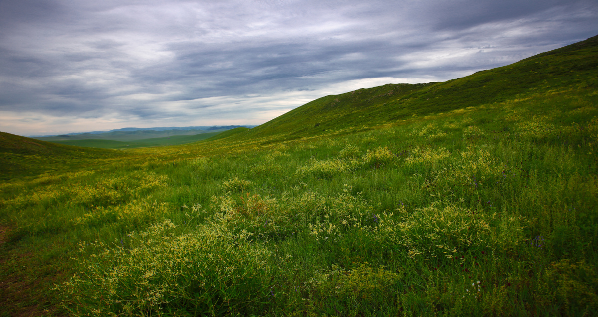 内蒙瞭望山的山坡草原