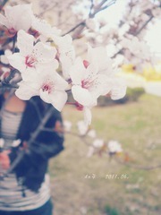 花语