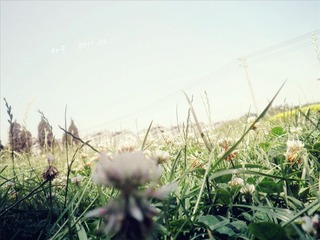 花语