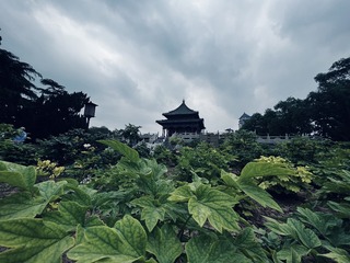 37F92033-F5F7-4562-AF95-69218B3CC2BA/L0/001