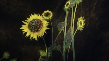 DF54A9D7-0679-4CAA-BF0C-25537677CEA4/L0/001