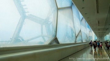 IMG_0400.jpg