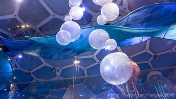 IMG_0451.jpg