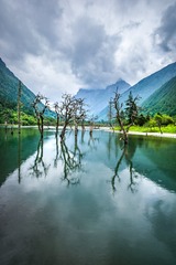 ！双桥沟枯树水面 (15)