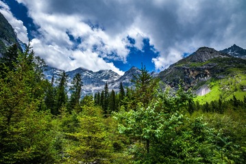 ！双桥沟雪山森林 (5)