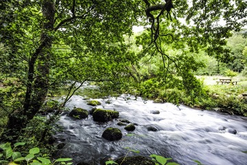 森林河流-英国湖区国家公园-格拉斯米尔(grasmere) (14)