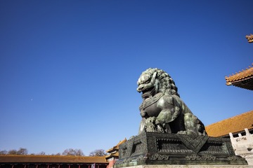 石狮 (10)