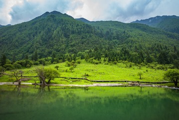 ！双桥沟枯树水面 (19)