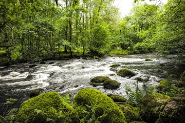 森林河流-英国湖区国家公园-格拉斯米尔(grasmere) (10)