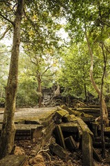 崩密列（Beng Mealea） (39)
