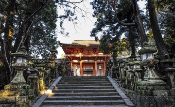 ！春日大社 (17)