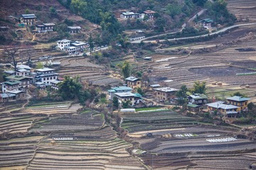 普纳卡Punakha-徒步山顶寺庙 (21)
