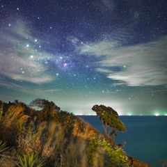 ！星空-海+树 (3)