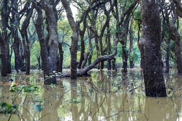 _MG_8777-2 - 