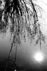 IMG_8299