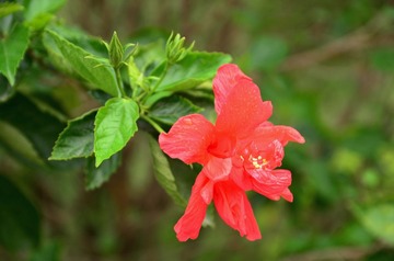 DSC_0053.JPG