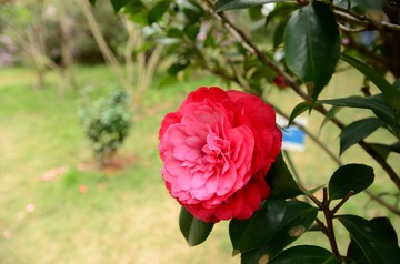 DSC_0076.JPG
