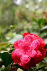 DSC_0105.JPG