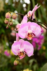 DSC_0138.JPG