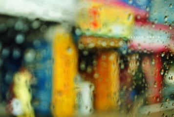 DSC_7835.jpg