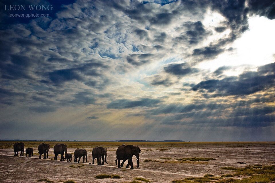 Amboseli的非洲象群<br />
肯尼亚安布塞利（Amboseli）国家公园。前期欠曝，后期对天空和地面分区曝光