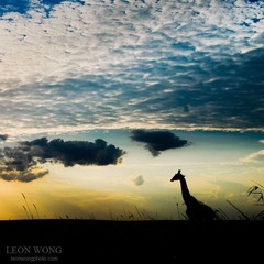 _LEO4547.jpg