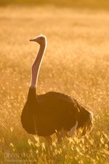 DSC_1511.jpg