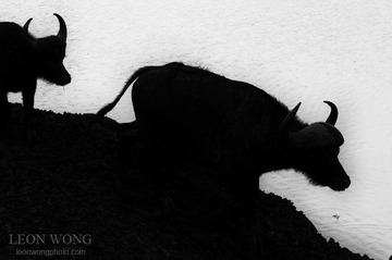 DSC_0739-编辑.jpg