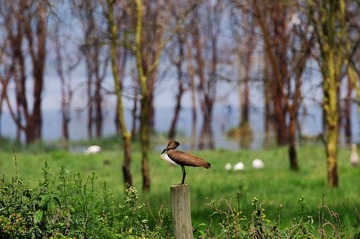 DSC_0789.jpg