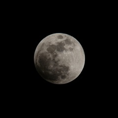 IMGP8243-2