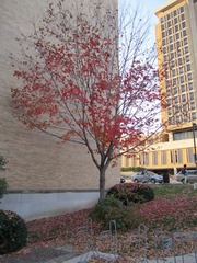 DoA lab and lakeshore afternoon 016.JPG