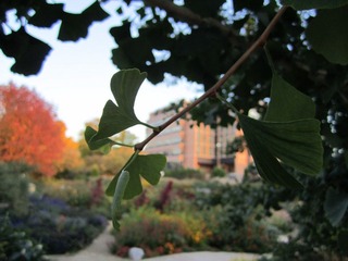 DoA lab and lakeshore afternoon 047.JPG