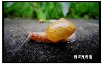 爬啊爬