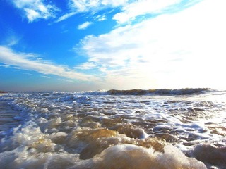 海28.jpg