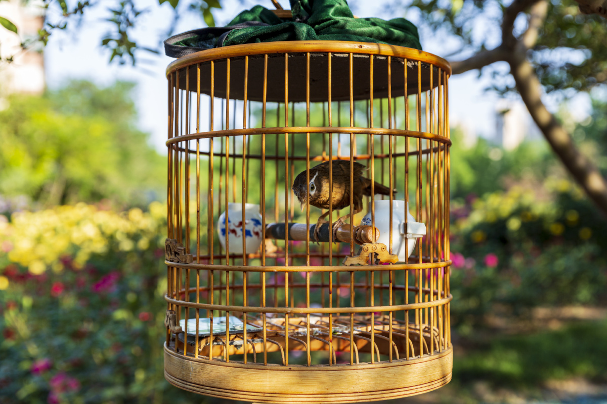 公园里的鸟笼