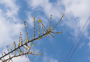 220661